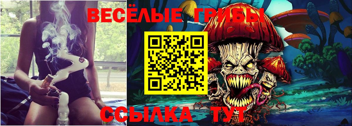 Сергиев Посад  Псилоцибиновые грибы мицелий  Вход с VPN 